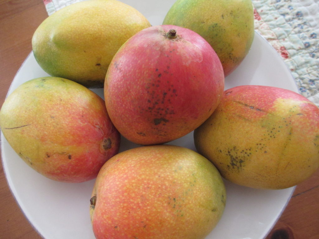 6 more mangos Simple Handmade. Everyday